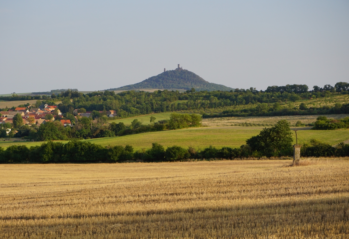 DSC02013kn.jpg