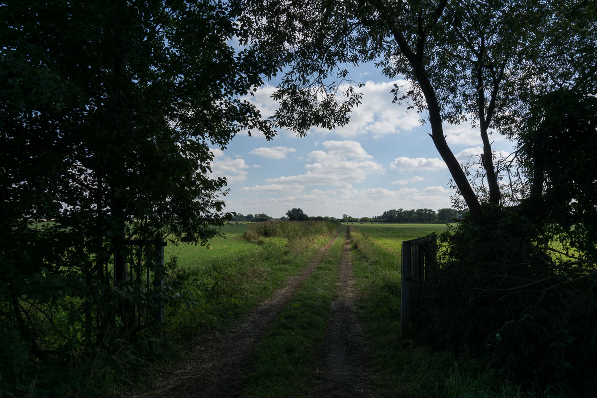 DSC0241