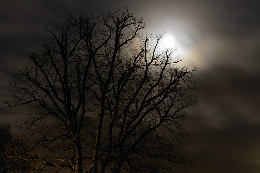 DSC0257 Vollmond 2009