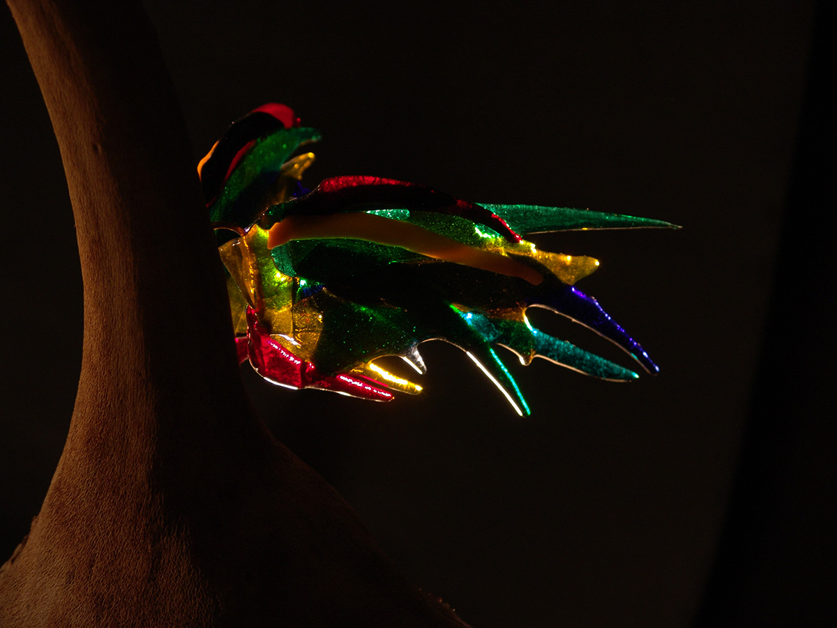 DSC02875-Kopie.jpg