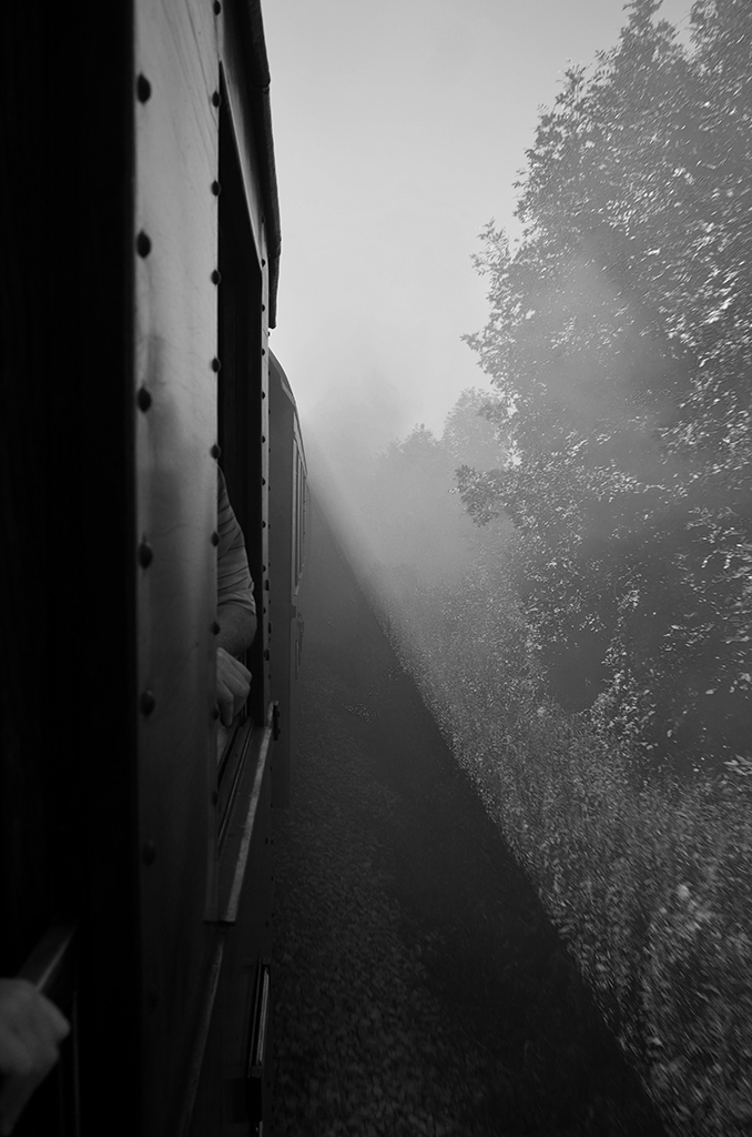 DSC0292 001 sw NF 1024px