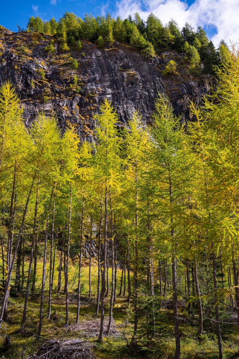 DSC0321 08 10 2018
Bäume, Alpen, Natur, Landschaft