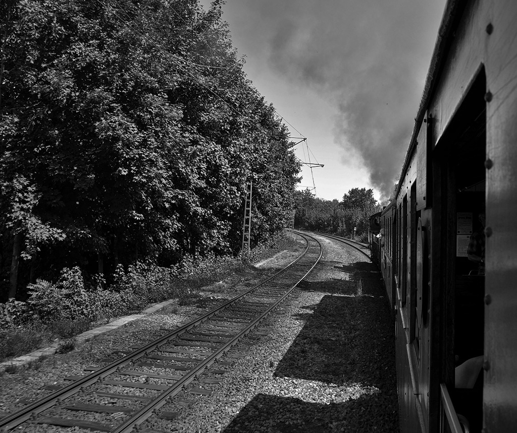 DSC0337 001 sw NF 1024px