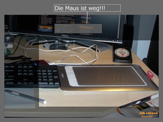 DSC04135 NFF 500x334