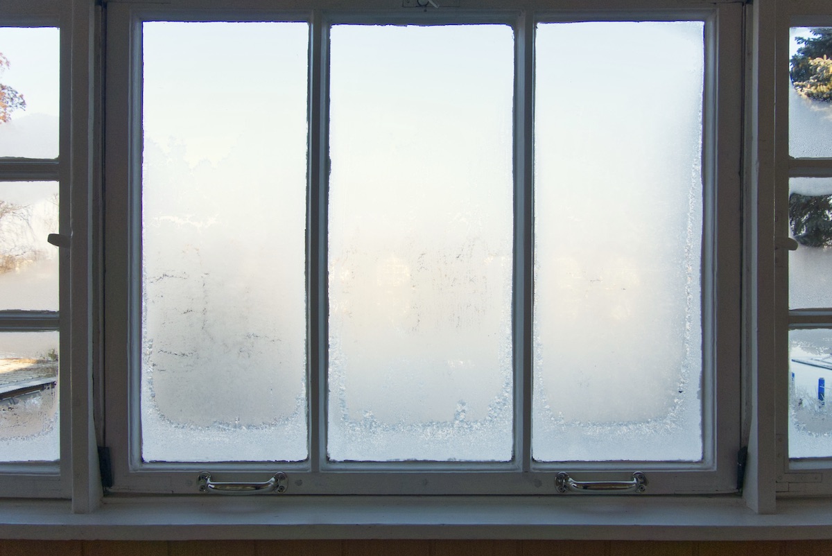 DSC04287.jpeg