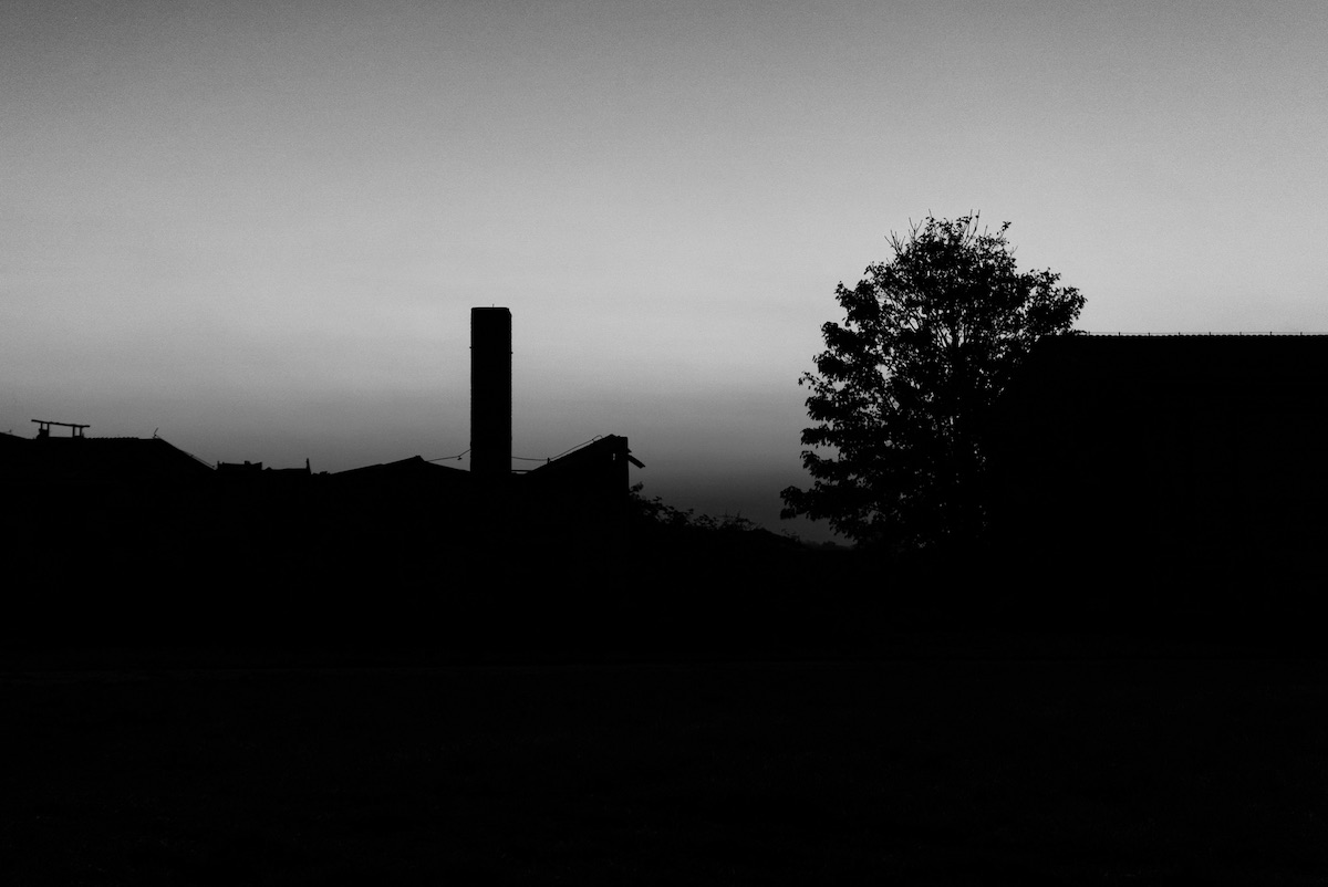 DSC05021.jpeg