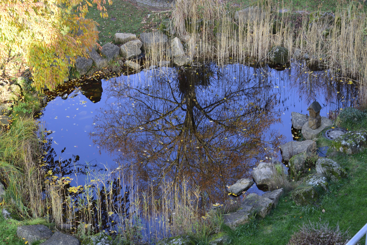 DSC0555 00001 01