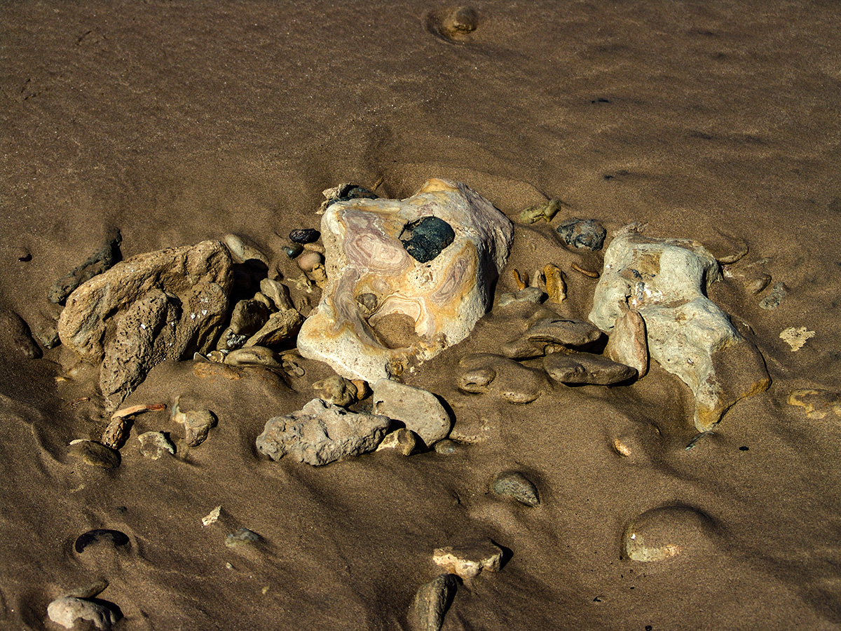 DSC05912-Edit.jpg