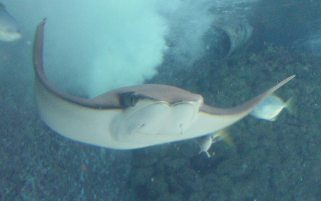 DSC06581b