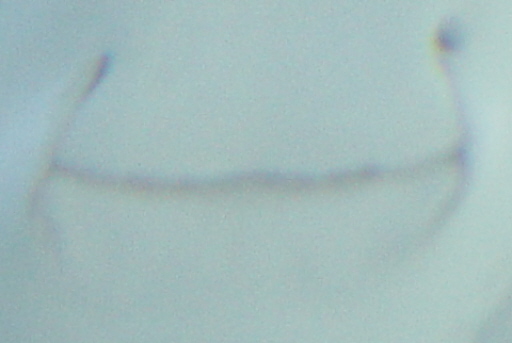 DSC06584b