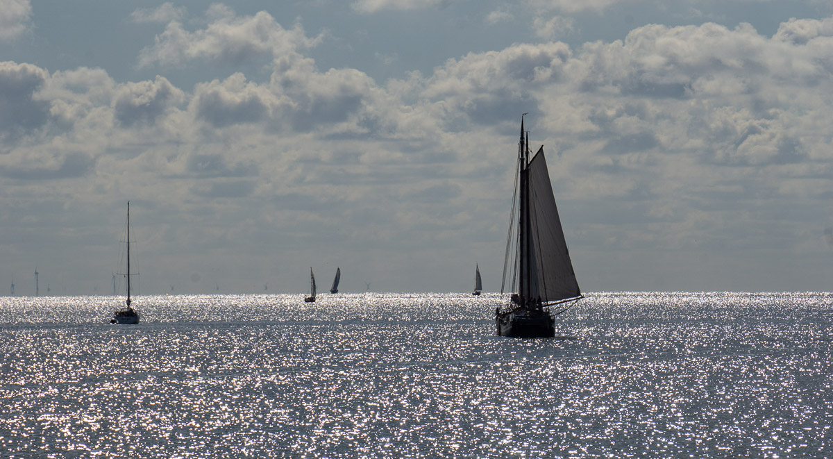 DSC0675 w