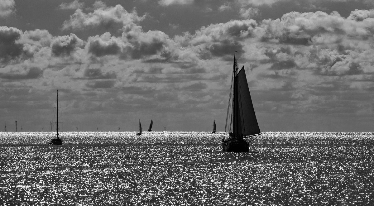 DSC0675 w