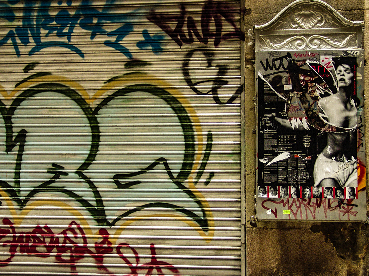 DSC07137.jpg