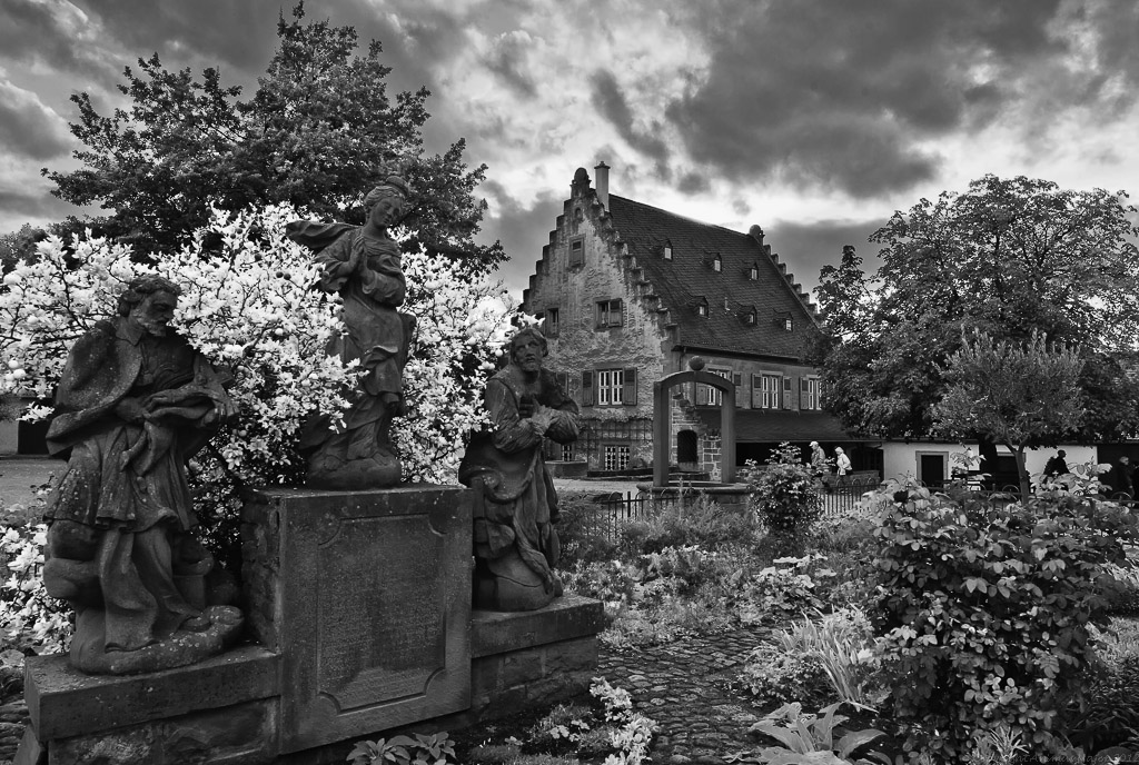 DSC0905