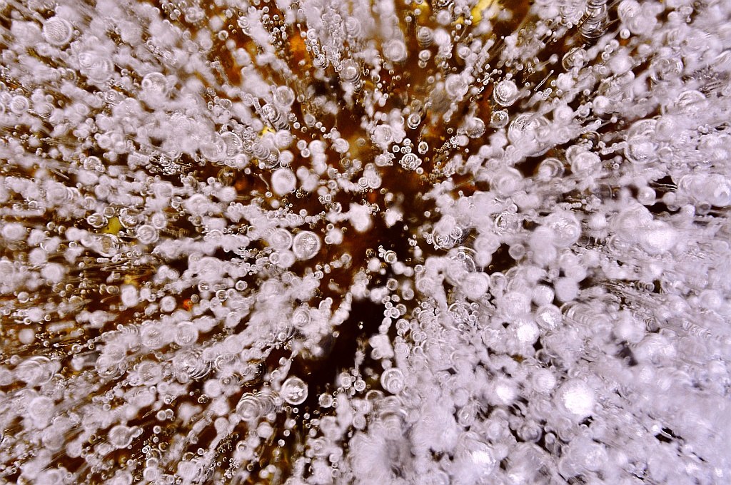 DSC0978b