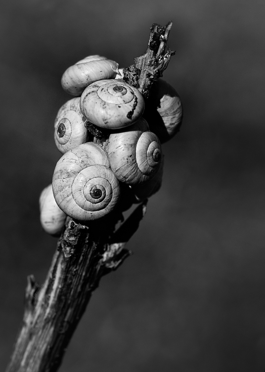 DSC1340