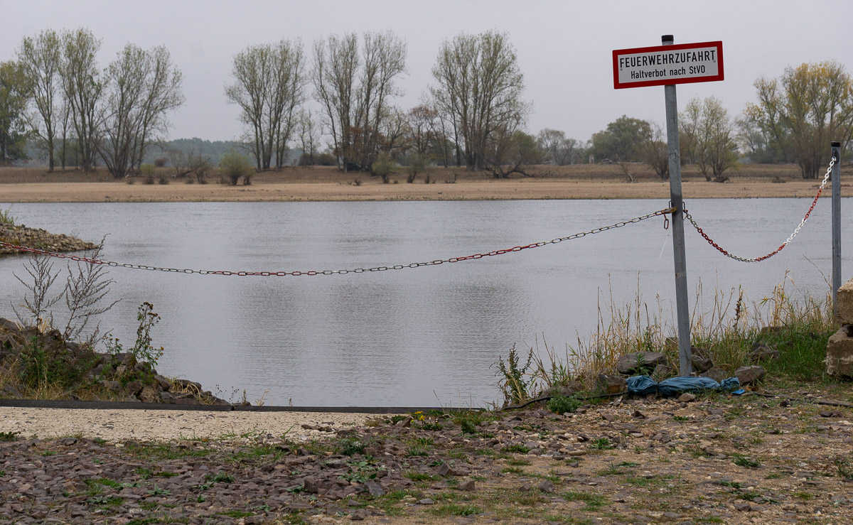 DSC1678