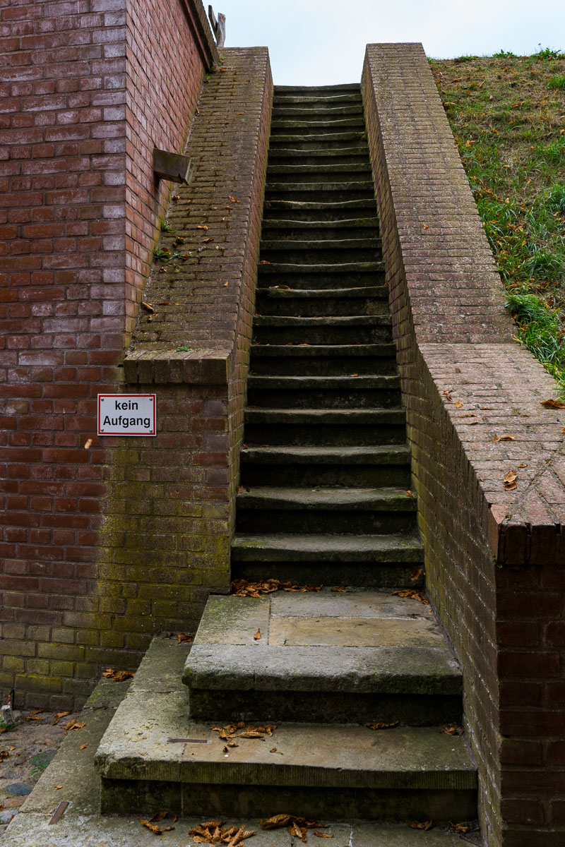 DSC1697