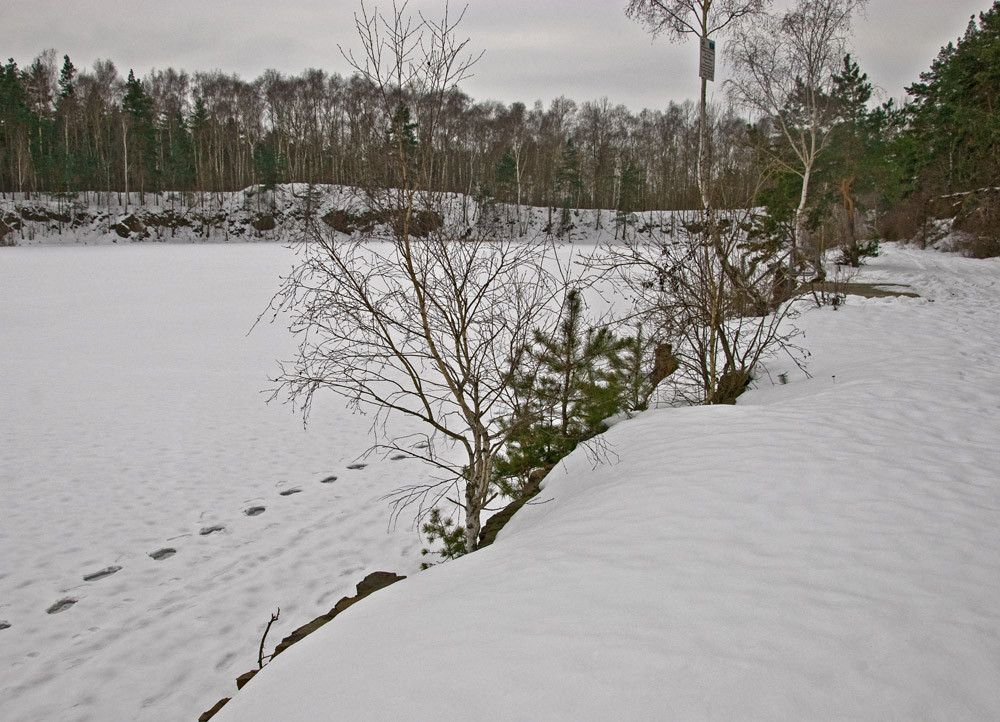 DSC1928 Spur im Winter