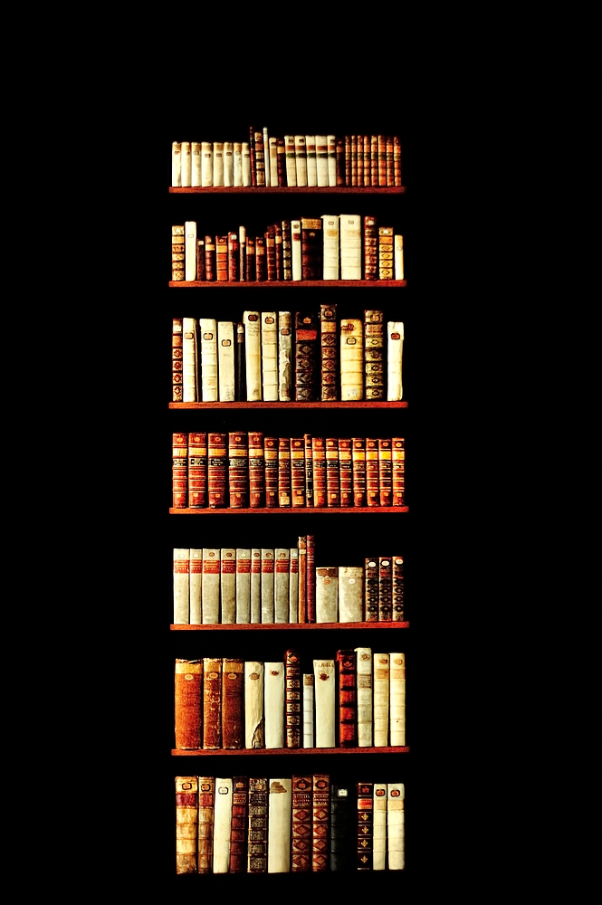 dsc2015 Bücher