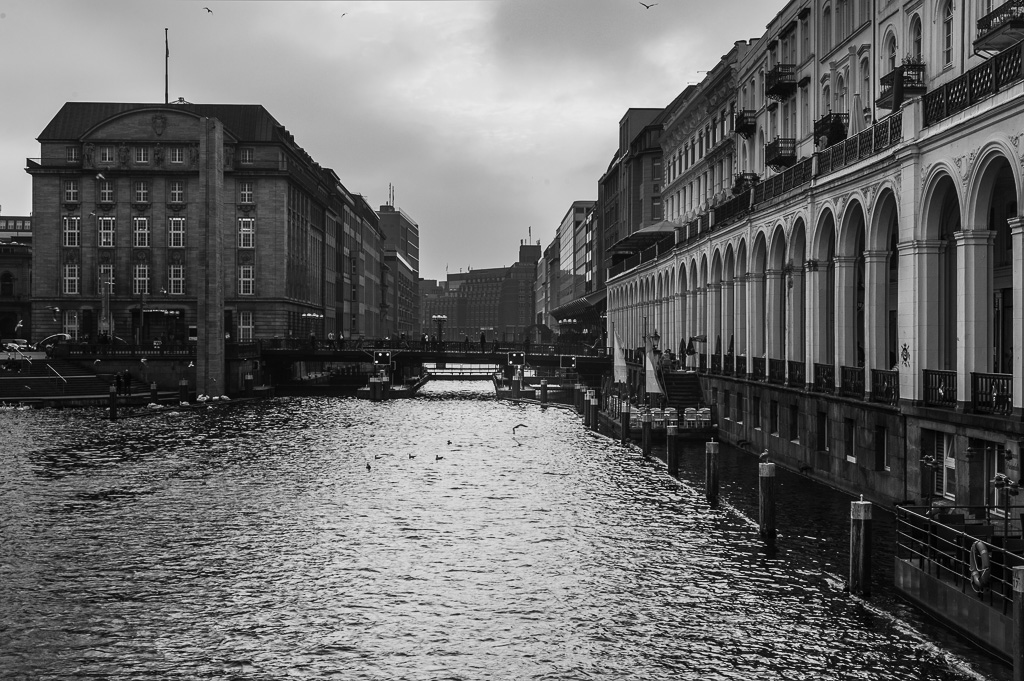 DSC2020