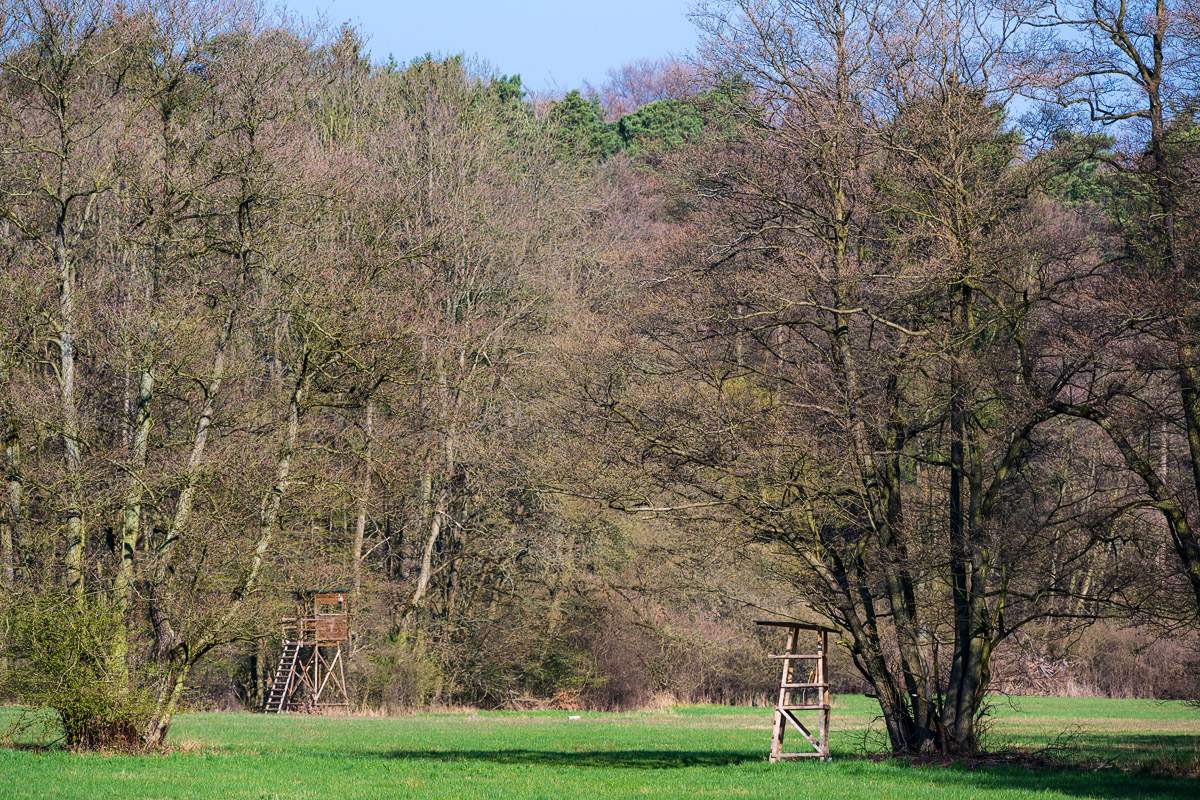 DSC2082 02 04 2019
Bäume, Wald