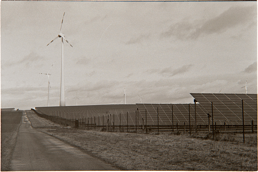 DSC2311 bearbeitet 1