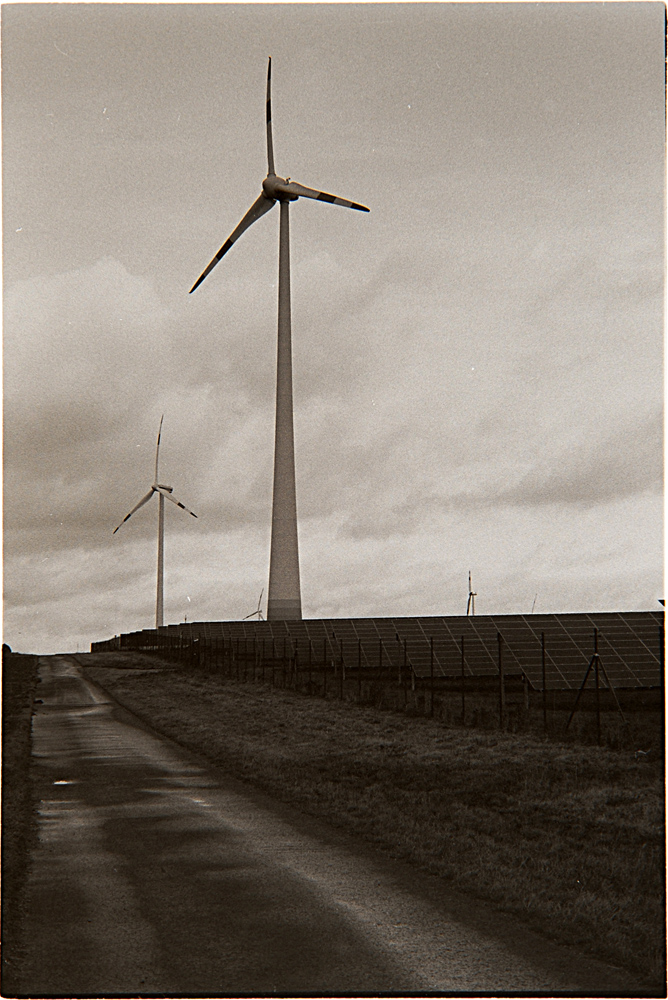 DSC2314 bearbeitet 1