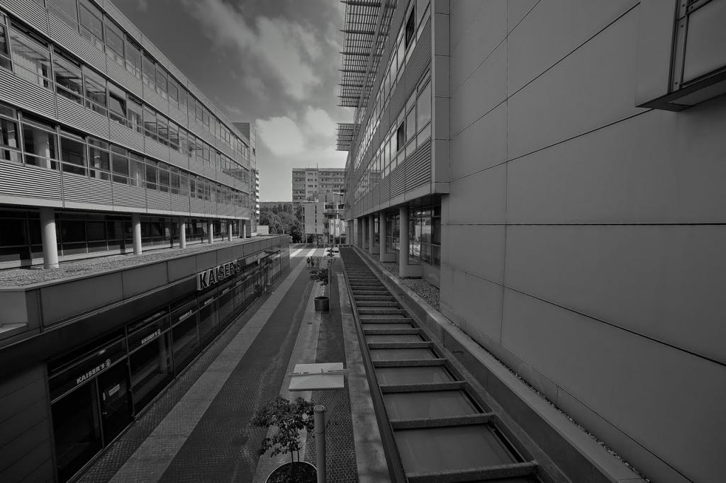 DSC2618