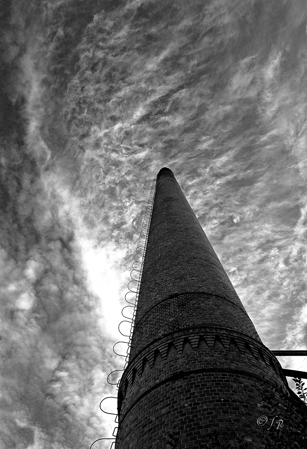 DSC2624 SW
