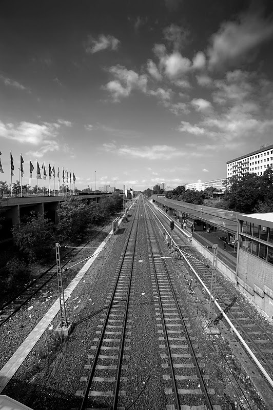 DSC2674