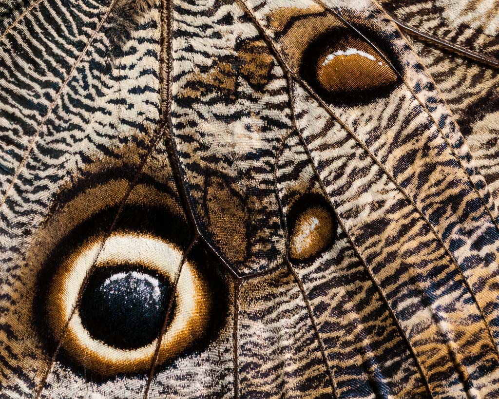 DSC2734