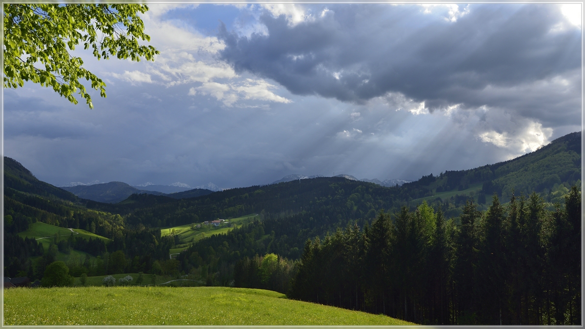 DSC2780 Hiaslberg  C