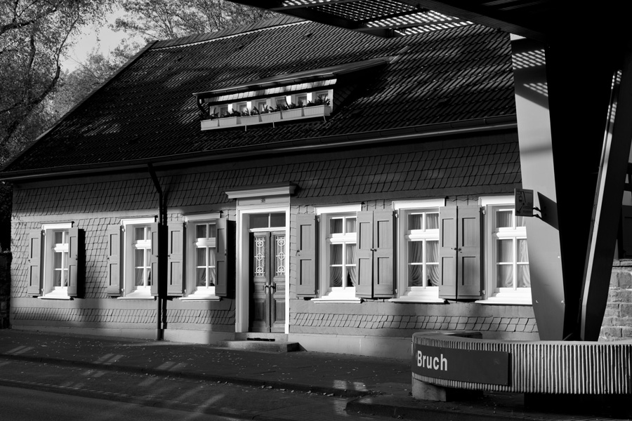 DSC2804