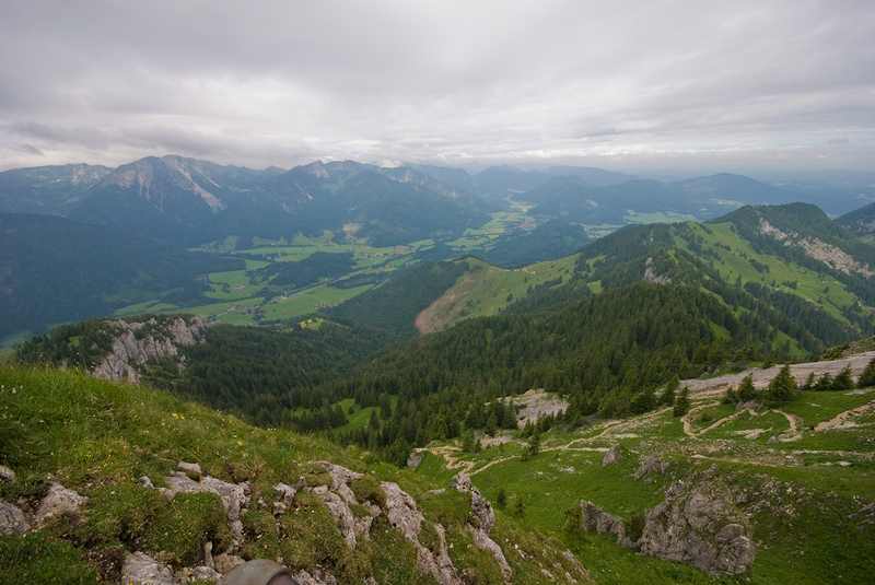 DSC2875