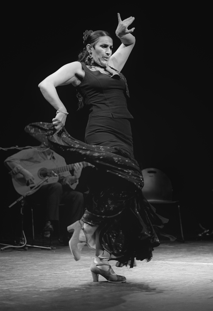 DSC3323 nff