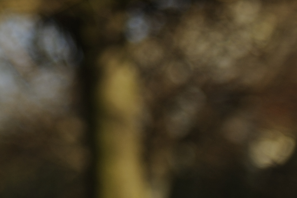 DSC3331 NF-F 100%
Bokeh bei Fokusdistanz 2m, Blende 2.8 und Brennweite 70mm
100% Crop