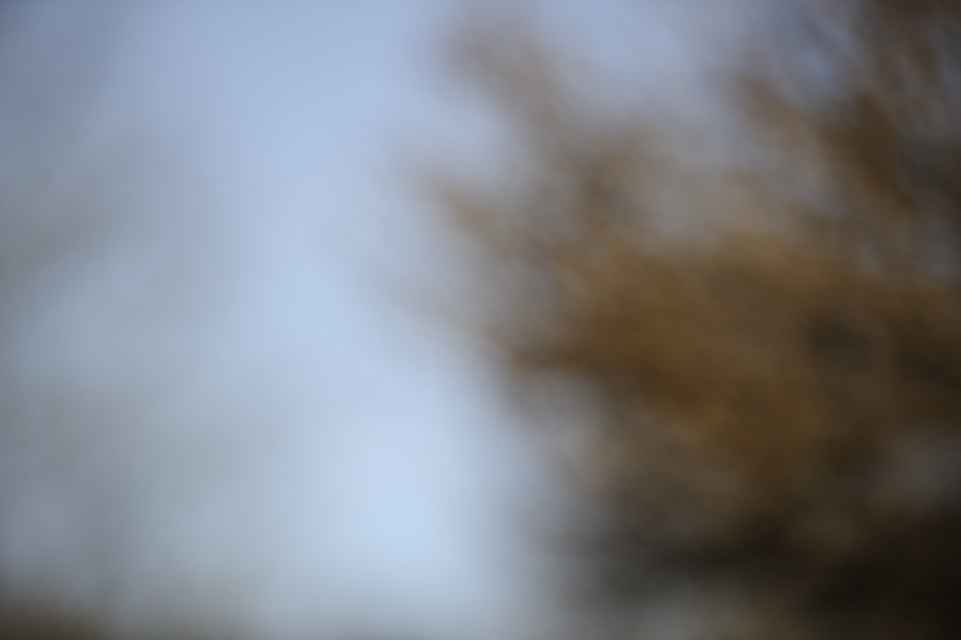 DSC3361 NF-F
Bokeh bei Fokusdistanz 2m, Blende 2.8 und Brennweite 200mm