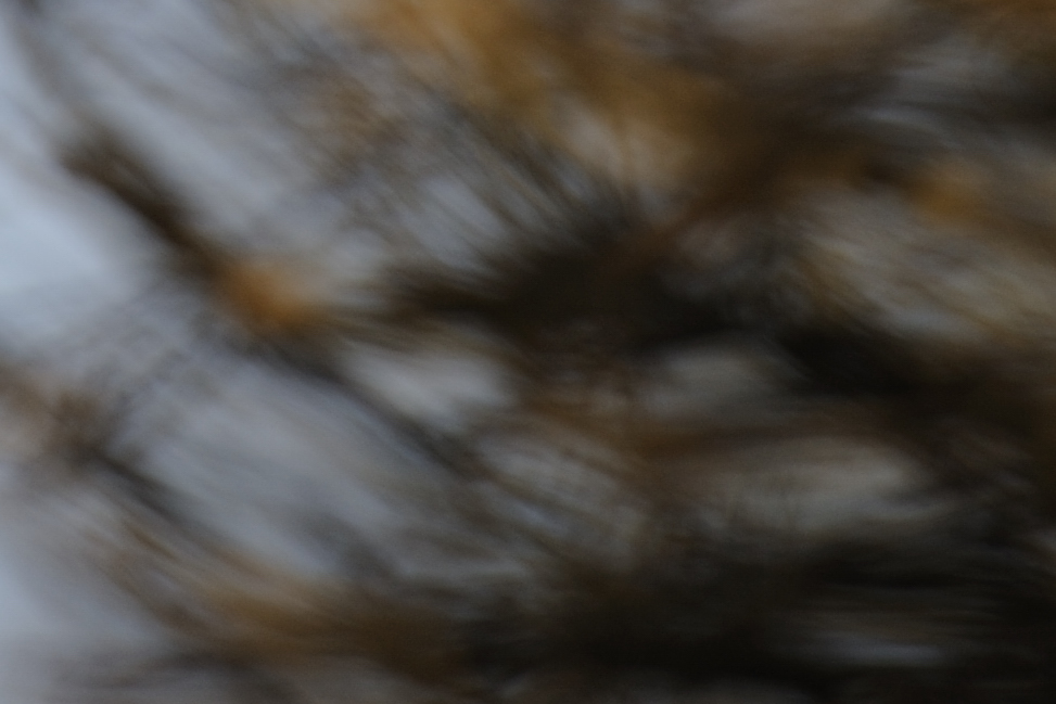 DSC3376 NF-F 100%
Bokeh bei Fokusdistanz 10m, Blende 5.6 und Brennweite 200mm
100%-Crop