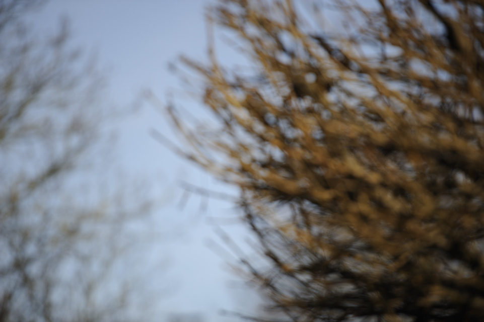 DSC3376 NF-F
Bokeh bei Fokusdistanz 10m, Blende 2.8 und Brennweite 200mm