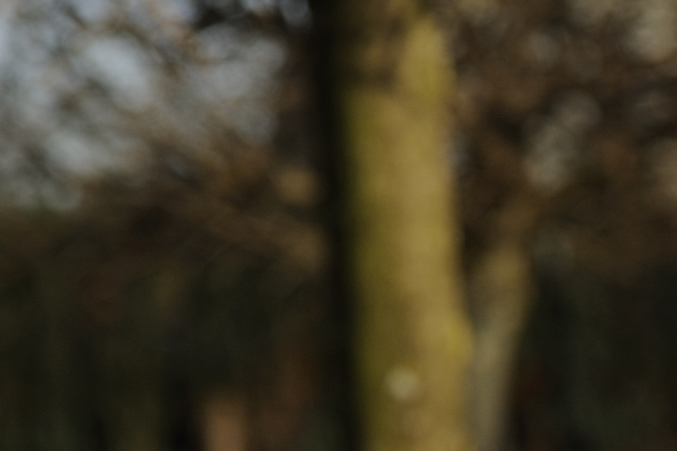 DSC3391 NF F 100%
Bokeh bei Fokusdistanz 2m, Blende 5.6 und Brennweite 70mm
100% Crop