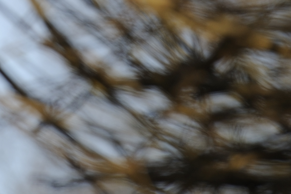 DSC3436 NF-F 100%
Bokeh bei Fokusdistanz 10m, Blende 5.6 und Brennweite 200mm
100% Crop
