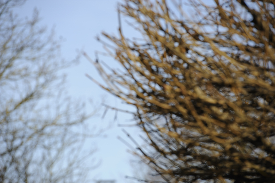 DSC3436 NF-F
Bokeh bei Fokusdistanz 10m, Blende 5.6 und Brennweite 200mm