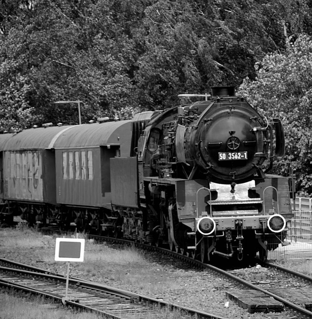 DSC3441 01