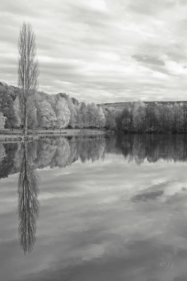 DSC3442 SW2