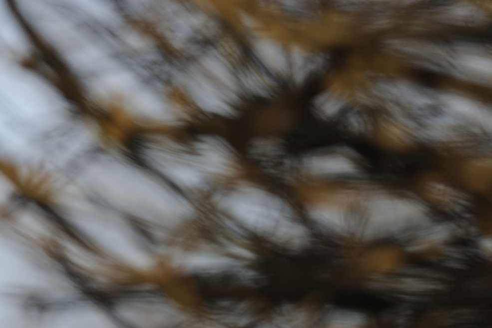 DSC3461 NF-F 100%
2.0/200mm VR
Bokeh bei Fokusdistanz 8,41m und Blende 5.6 
100% Crop