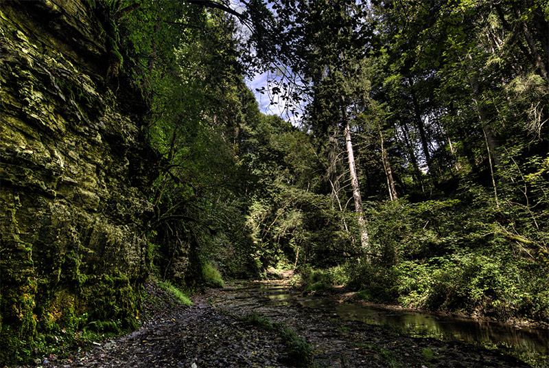 DSC3499 500 501 502