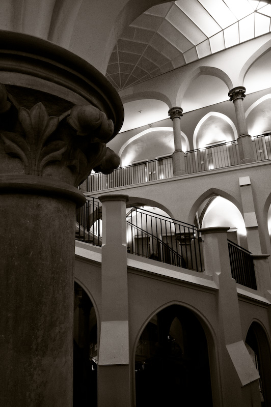 DSC3509