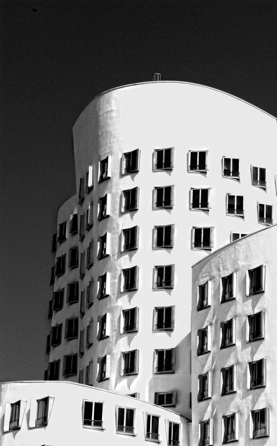 DSC3560