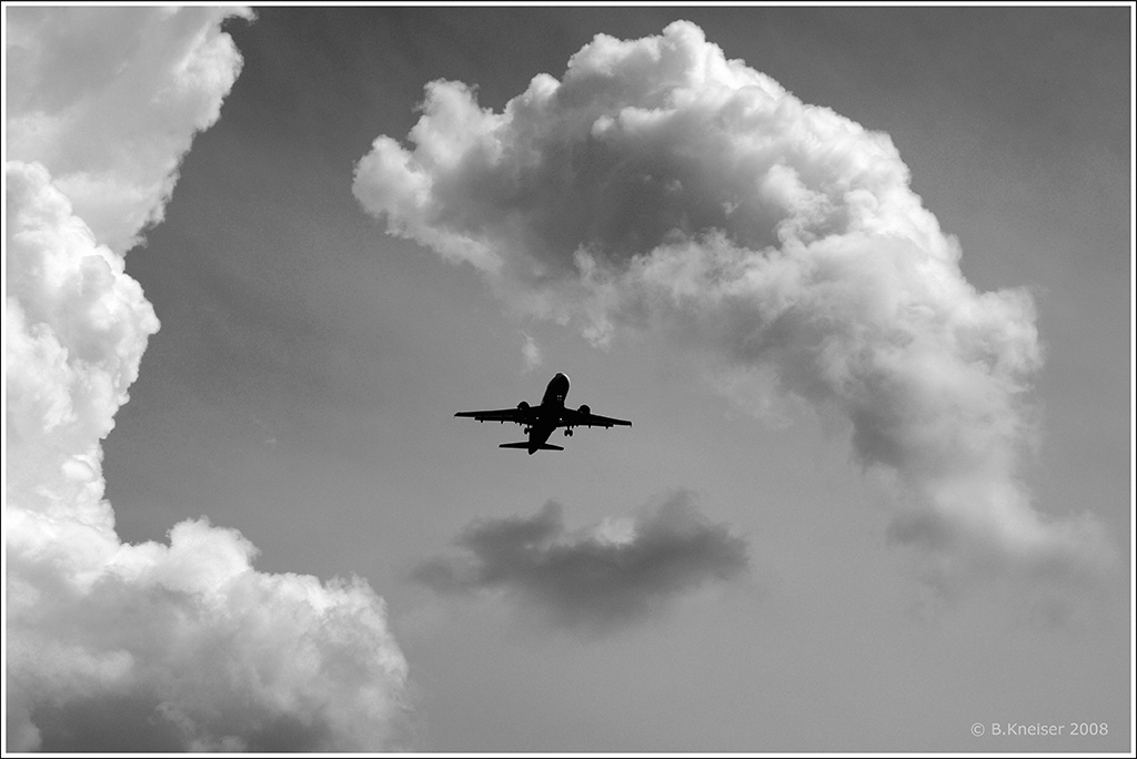 DSC3606 Flieger w